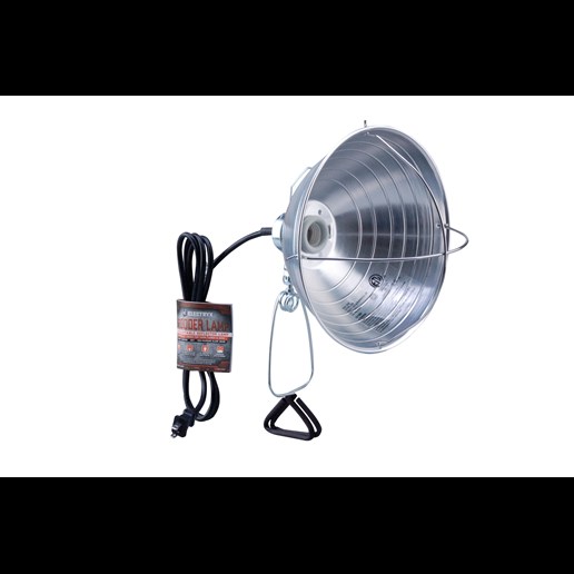 10-In 250-Watt Brooder Lamp with Clamp