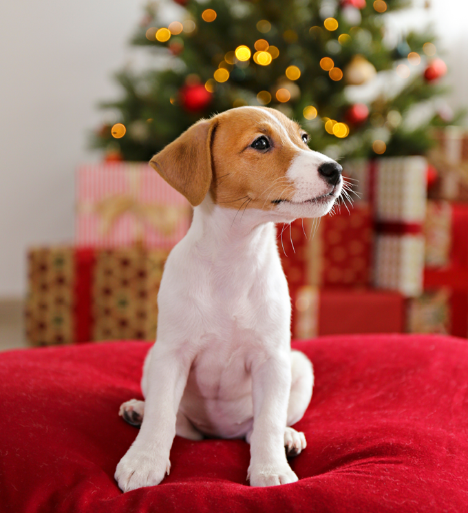 category block image