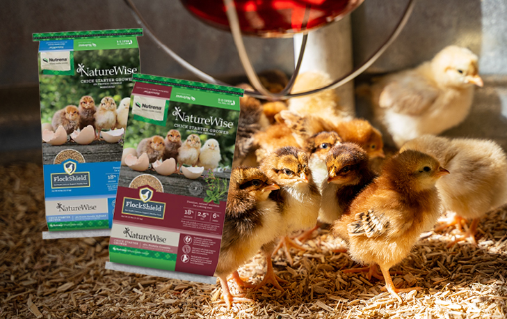 Nutrena NatureWise Feather Fixer