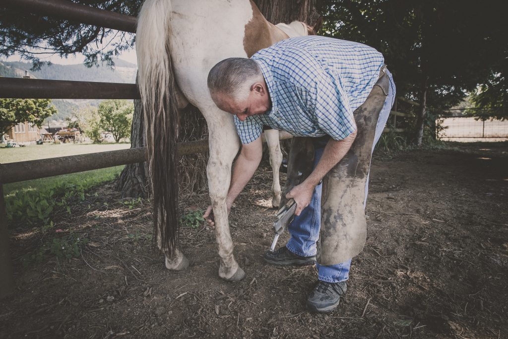 Cleaning Horse Hooves