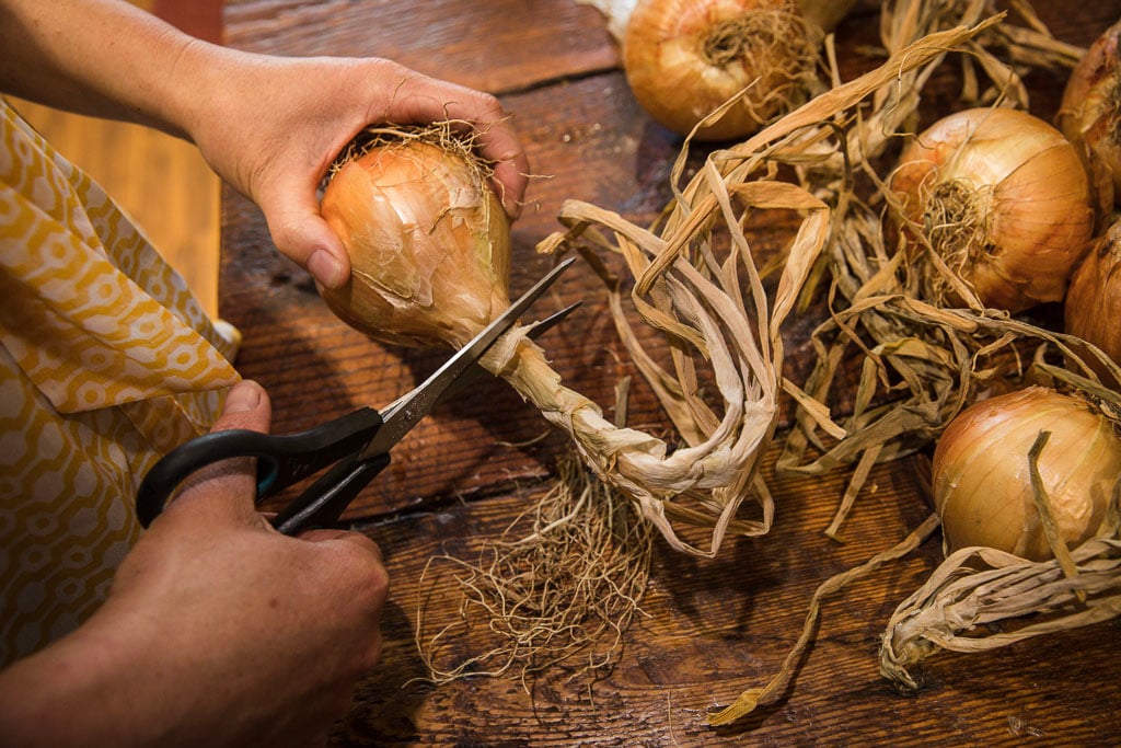 Curing Onions