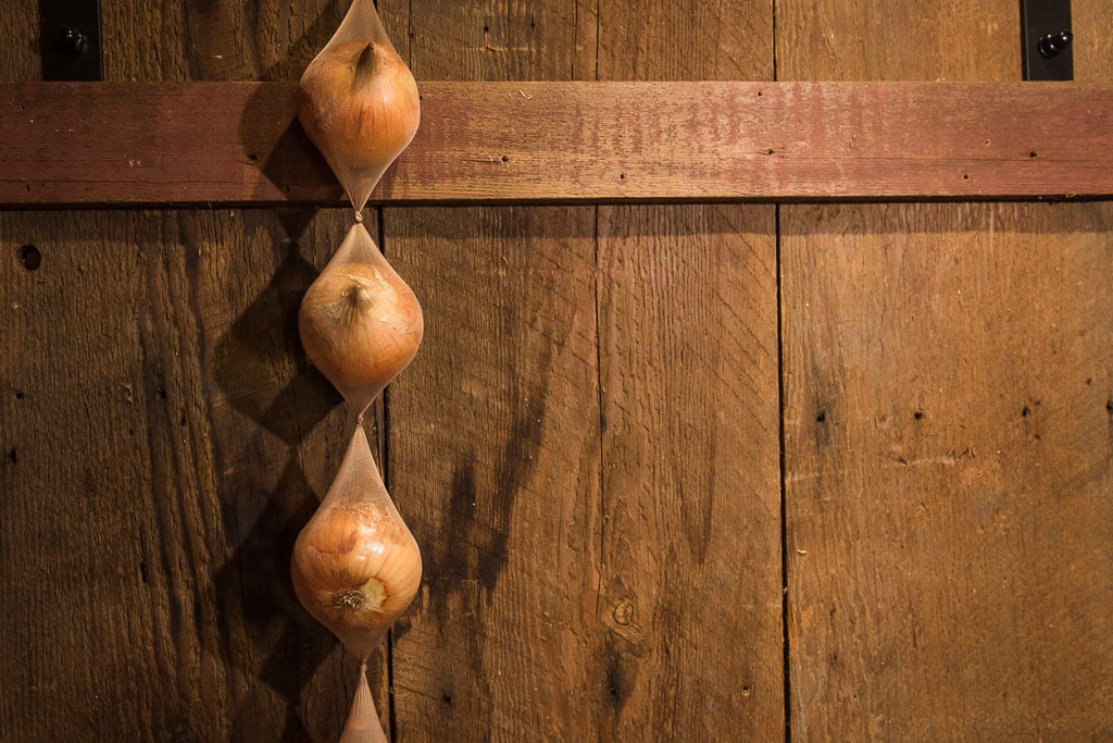 Curing Onions