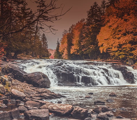 Fall Hunting Guide Mobile