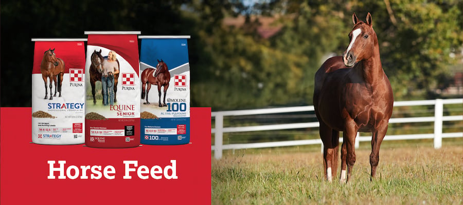 Horse Feed