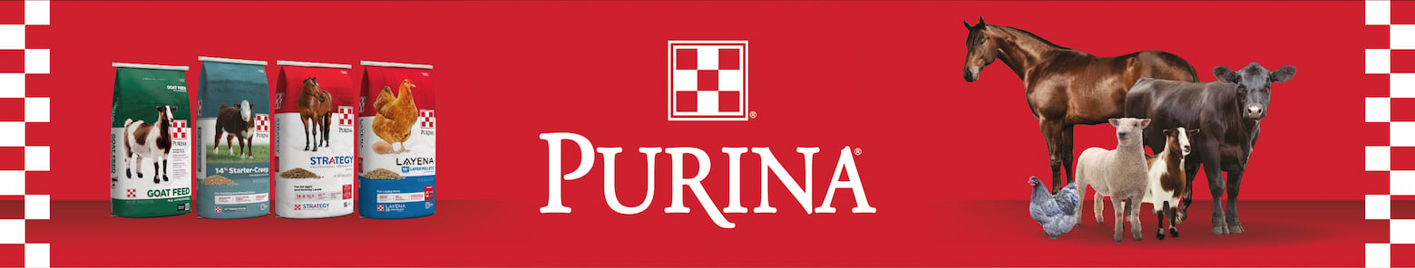PURINA