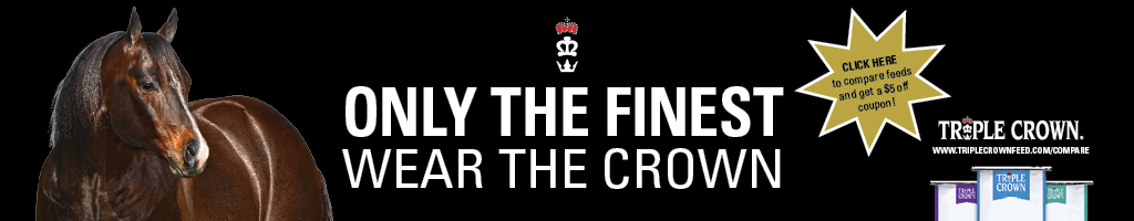 Only the finest banner