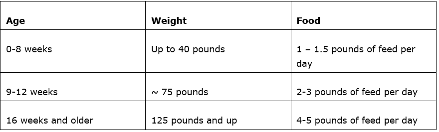 Pig Feed Intake Chart