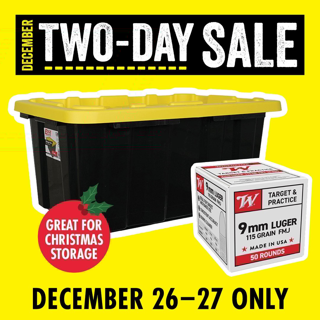 DECEMBER TWO-DAY SALE DECEMBER 26-27 ONLY (Tote is great for Christmas Storage)
