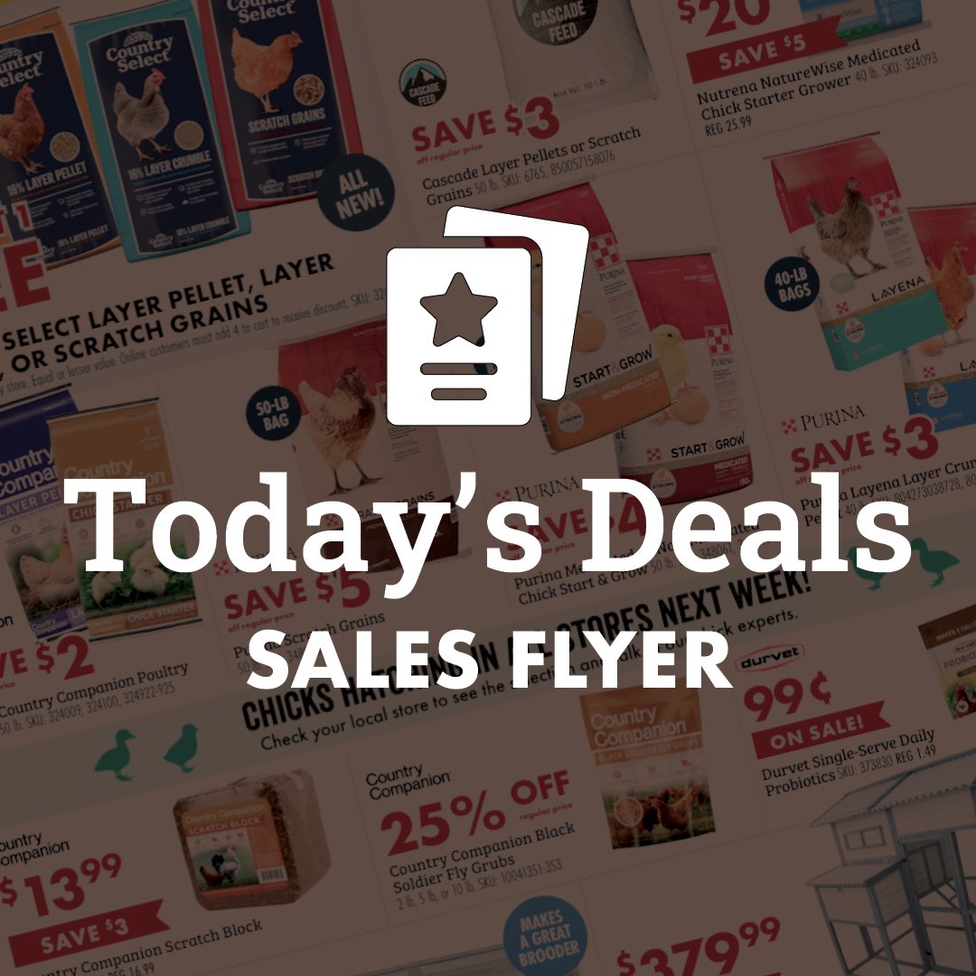 Today's Deals Sales Flyer