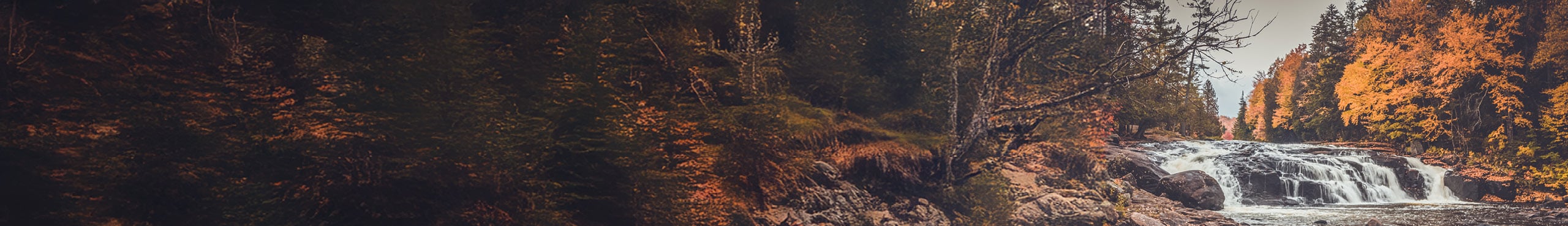 Fall Hunting Guide Main Image