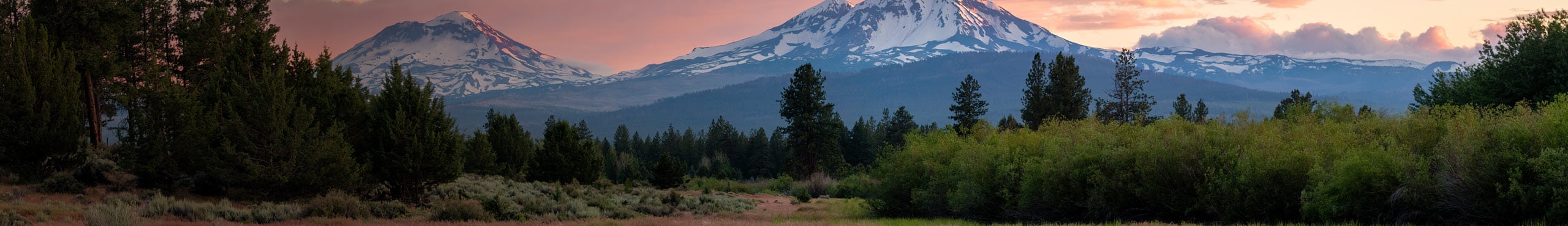 Spring Hunting Guide Main Image