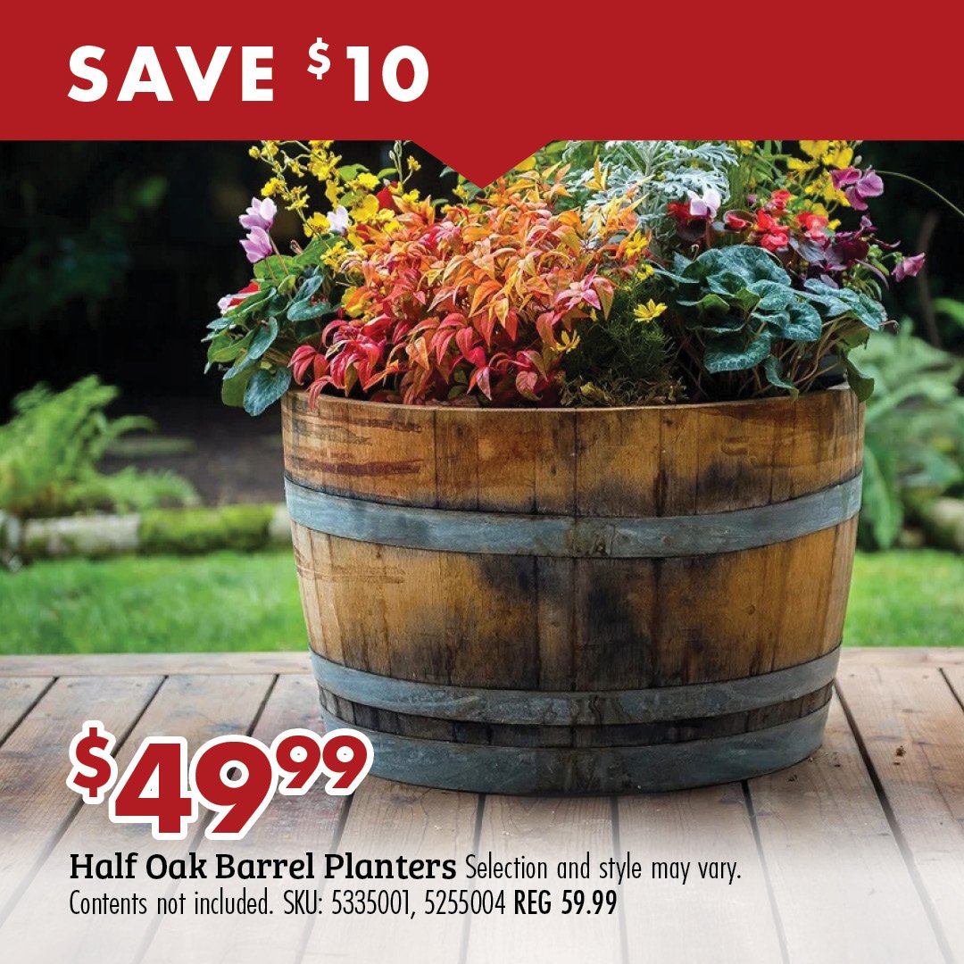 SAVE $10 $49.99 Half Oak Barrel Planters Selection and style may vary. Contents not included. SKU: 5335001, 5255004 REG 59.99