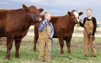 Proudly Supporting 4-H