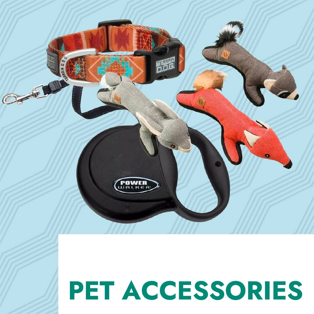 Pet Accessories