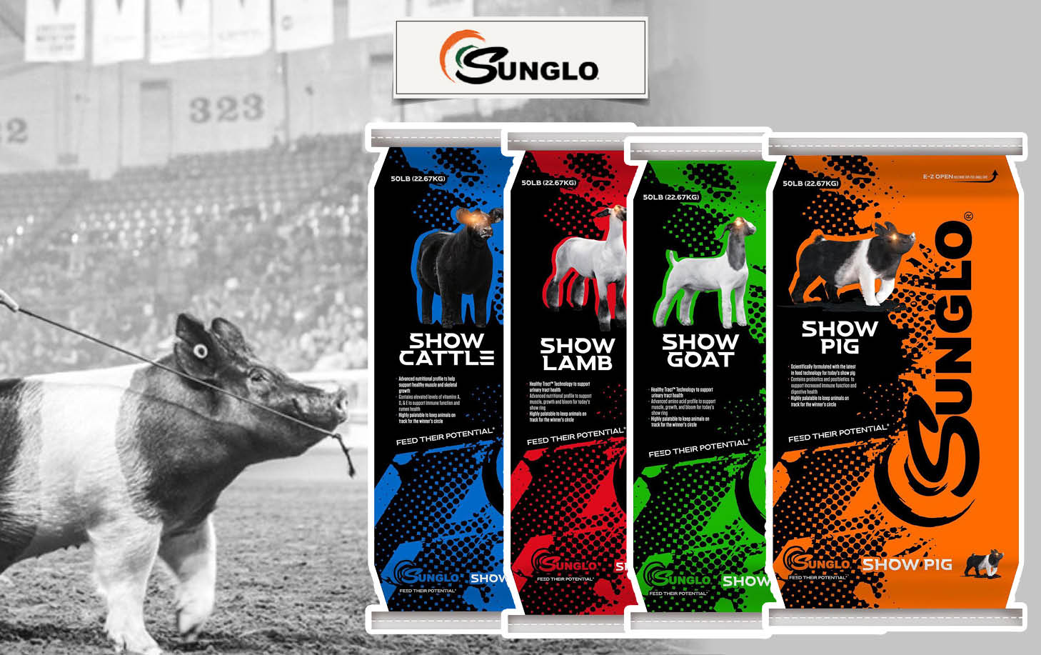 SafeChoice All Life Stages and Maintenance