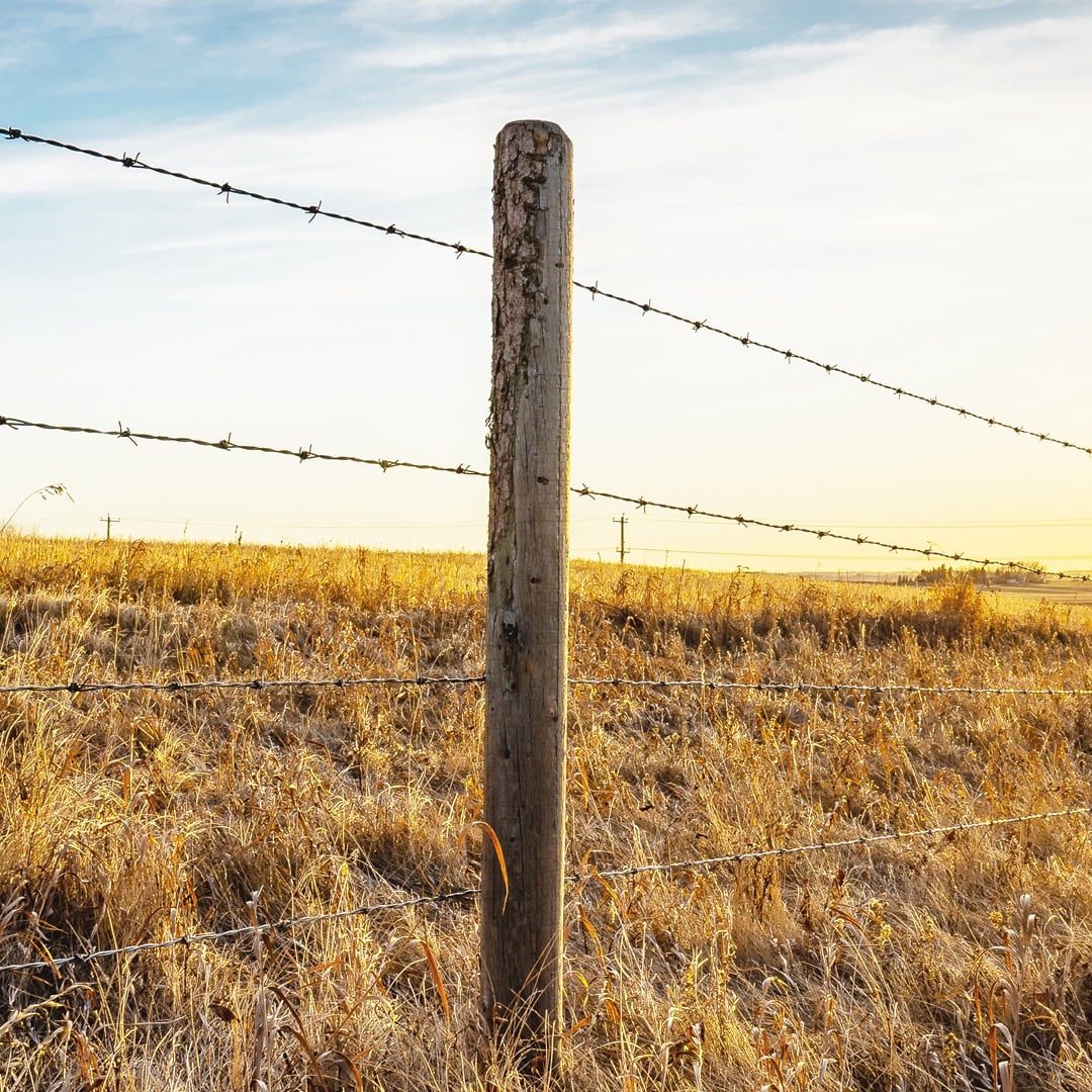 Fencing & Gates