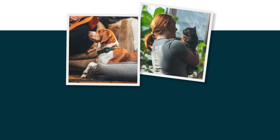 Figo Mobile Image Top Header