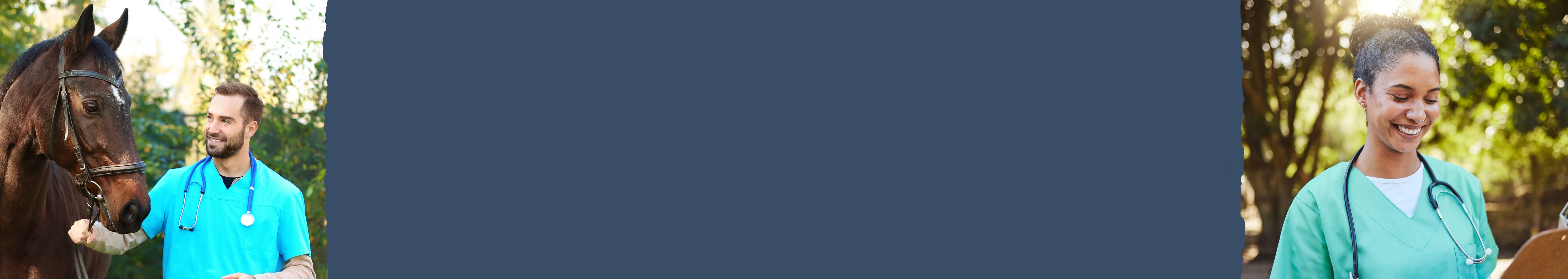Hearlthcare HTML banner