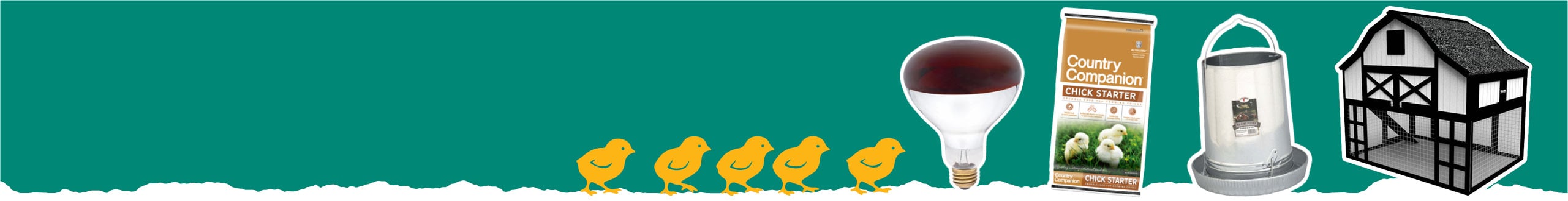 FROM THE POULTRY EXPERTS Chick Guide LEARN MORE