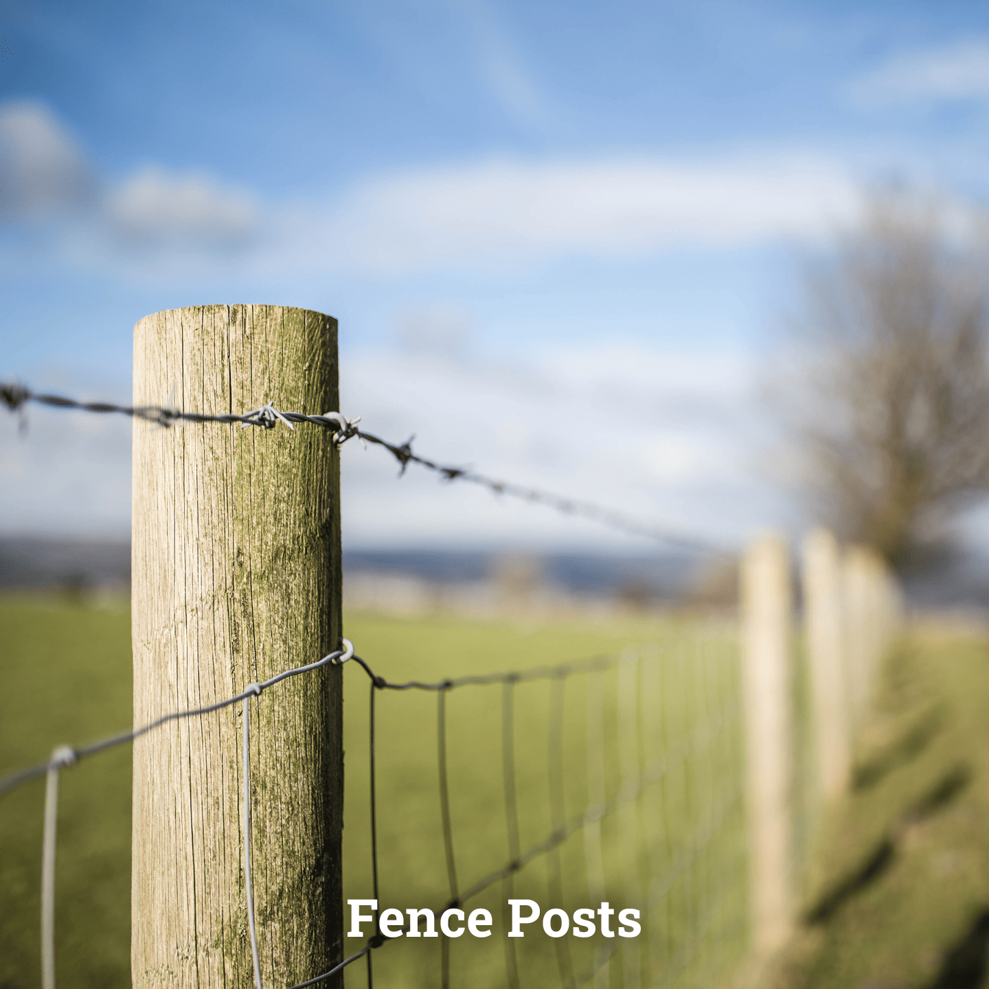 Fence Posts