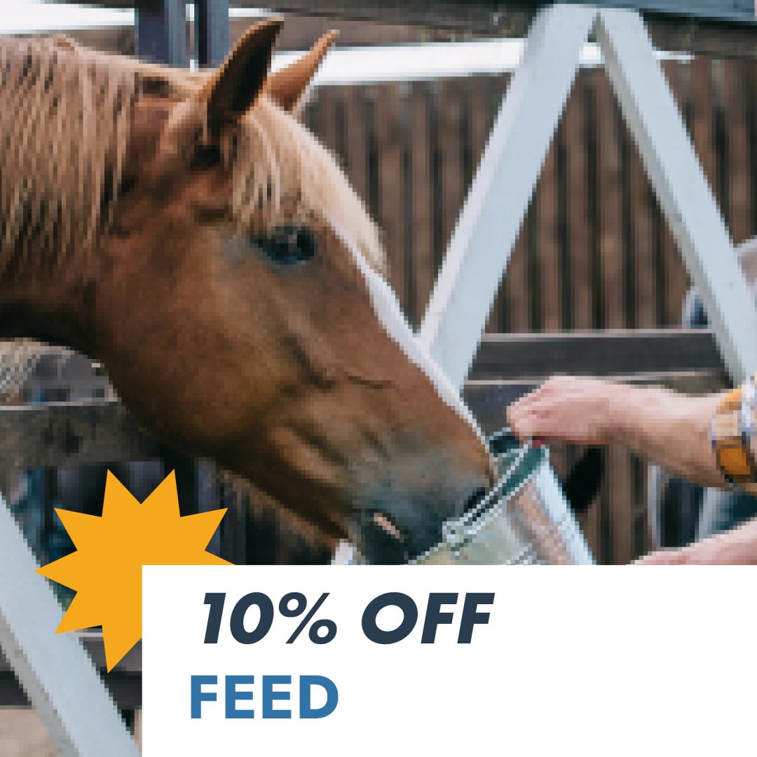 10% OFF FEED