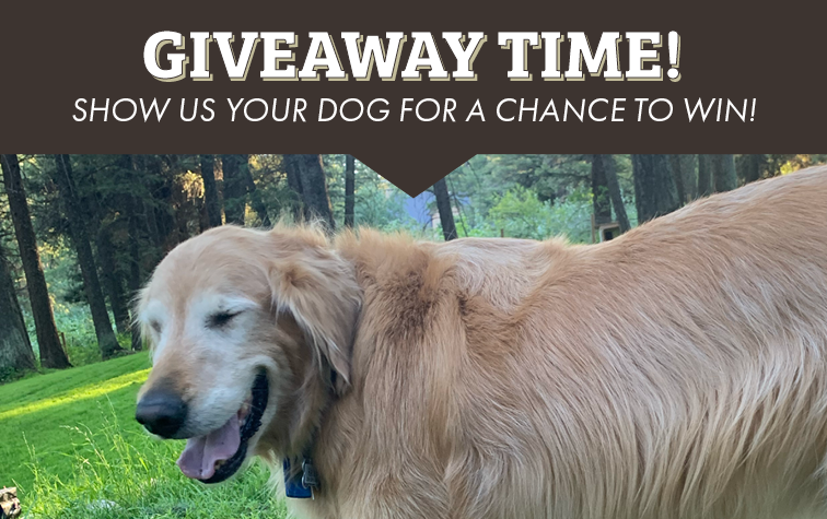 GIVEAWAY TIME! SHOW US YOUR DOG FOR A CHANCE TO WIN!