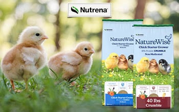 SafeChoice All Life Stages and Maintenance