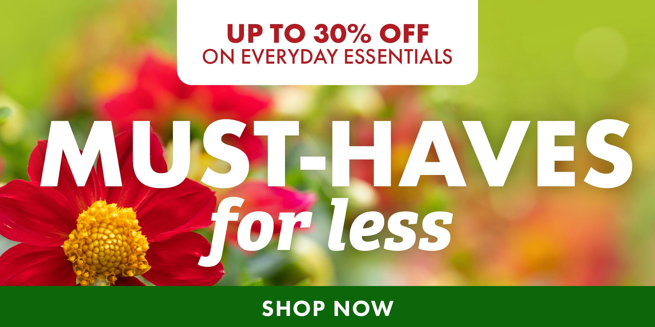UP TO 30% OFF EVERYDAY ESSENTIALS MUST-HAVES for less SHOP NOW