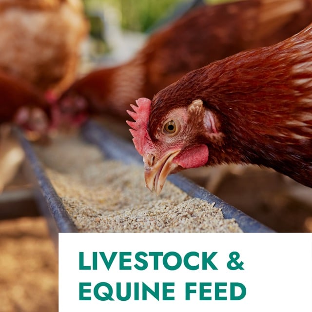 Livestock & Equine Feed