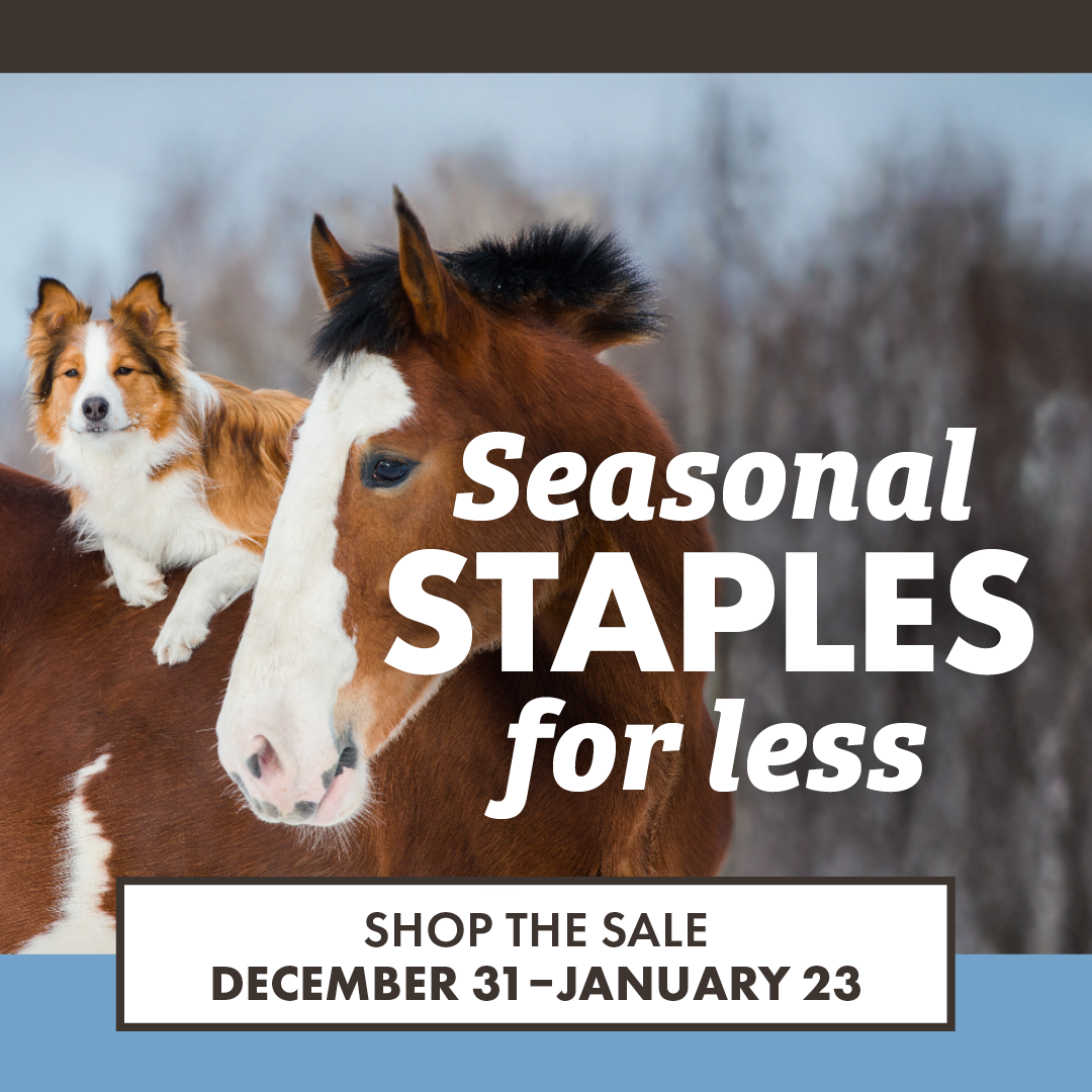 Seasonal STAPLES for less SHOP THE SALE DECEMBER 31-JANUARY 23