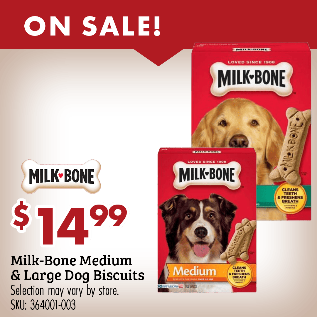 ON SALE! Milk Bone $14.99 Milk-Bone Medium & Large Dog Biscuits Selection may vary by store. SKU: 364001-003 REG 19.99