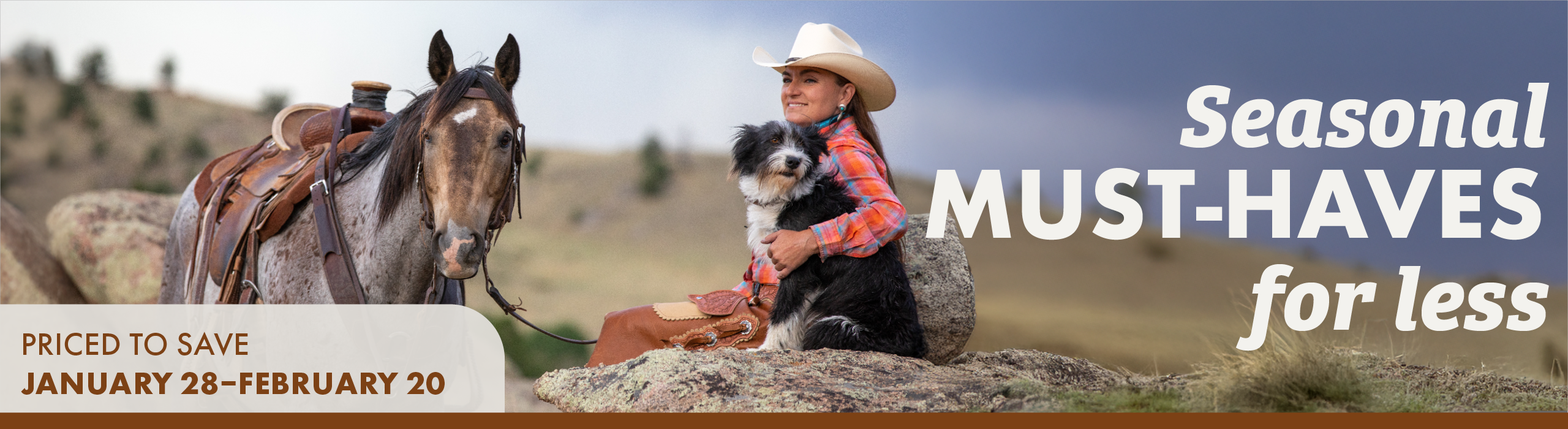 Seasonal MUST-HAVES for less PRICED TO SAVE JANUARY 28-FEBRUARY 20