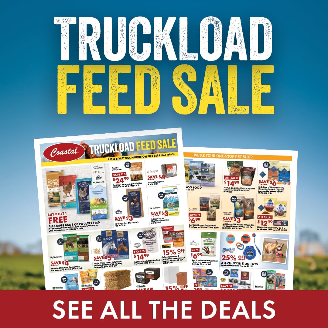 Memorial Day SALE SEE ALL THE DEALS