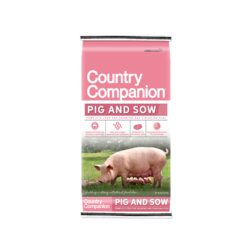 Country Companion Pig & Sow, 50-Lb