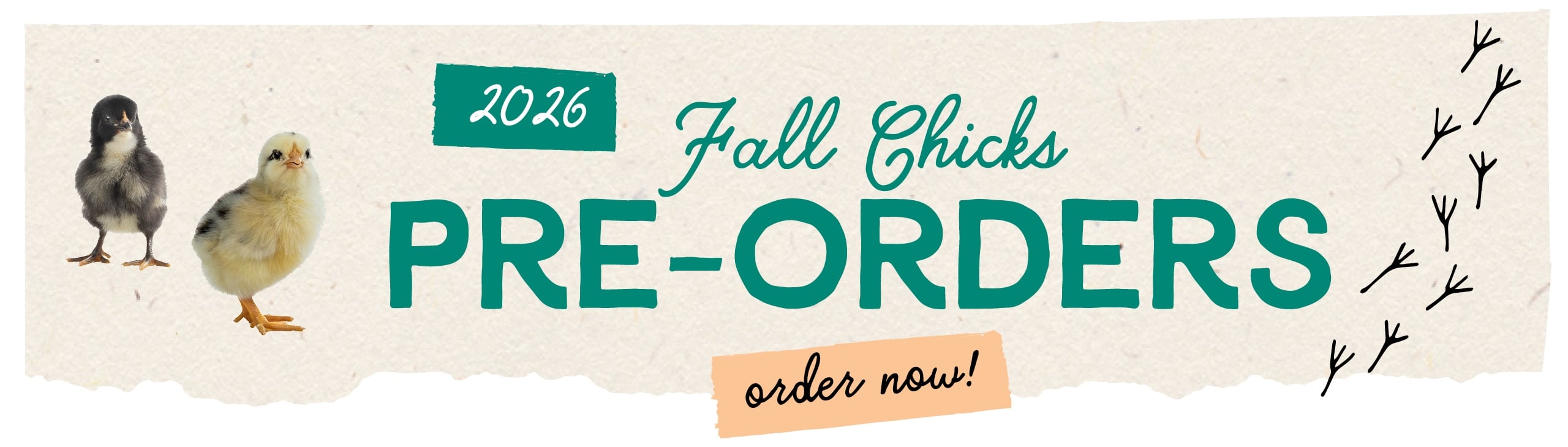 2026 Fall Chicks PRE-ORDERS order now!