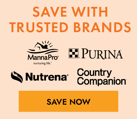 Save With Trusted Brands Mobile