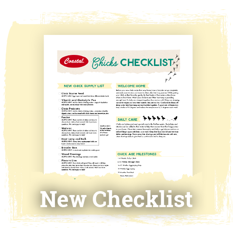 New Chick Checklist