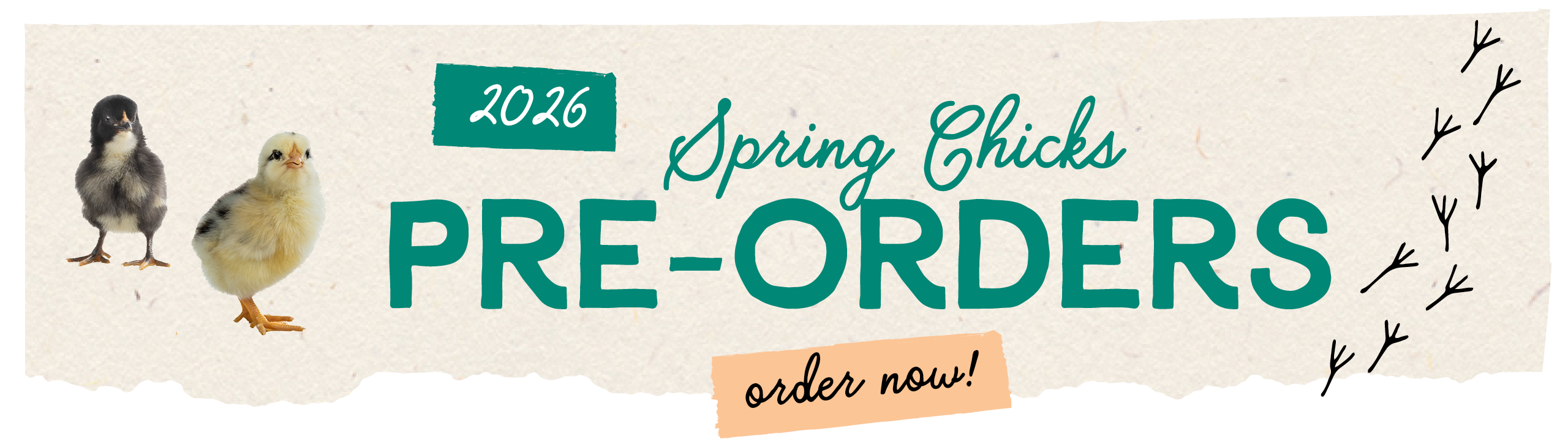 2026 Spring Chicks Pre-orders Now open!