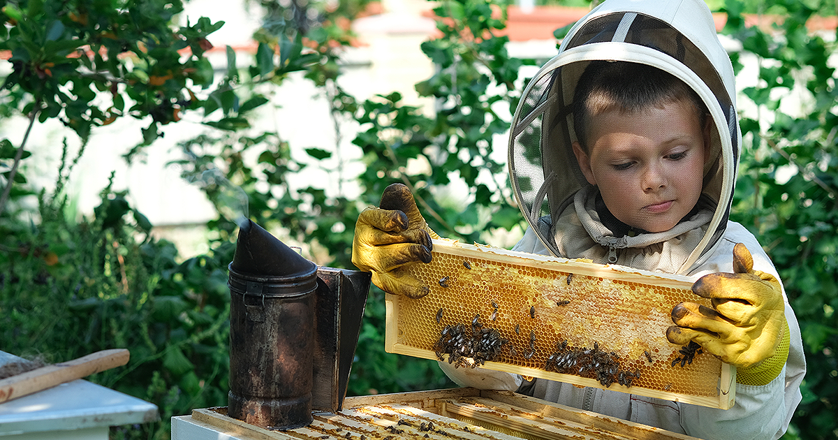 Eating Beeswax: A Sweet Treat - Backyard Beekeeping