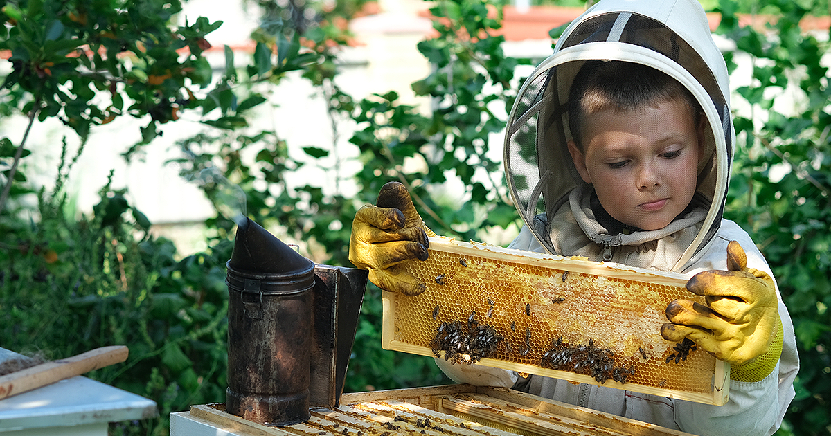 Beekeepers - What Does It Take To Be Successful - Bee Well Honey