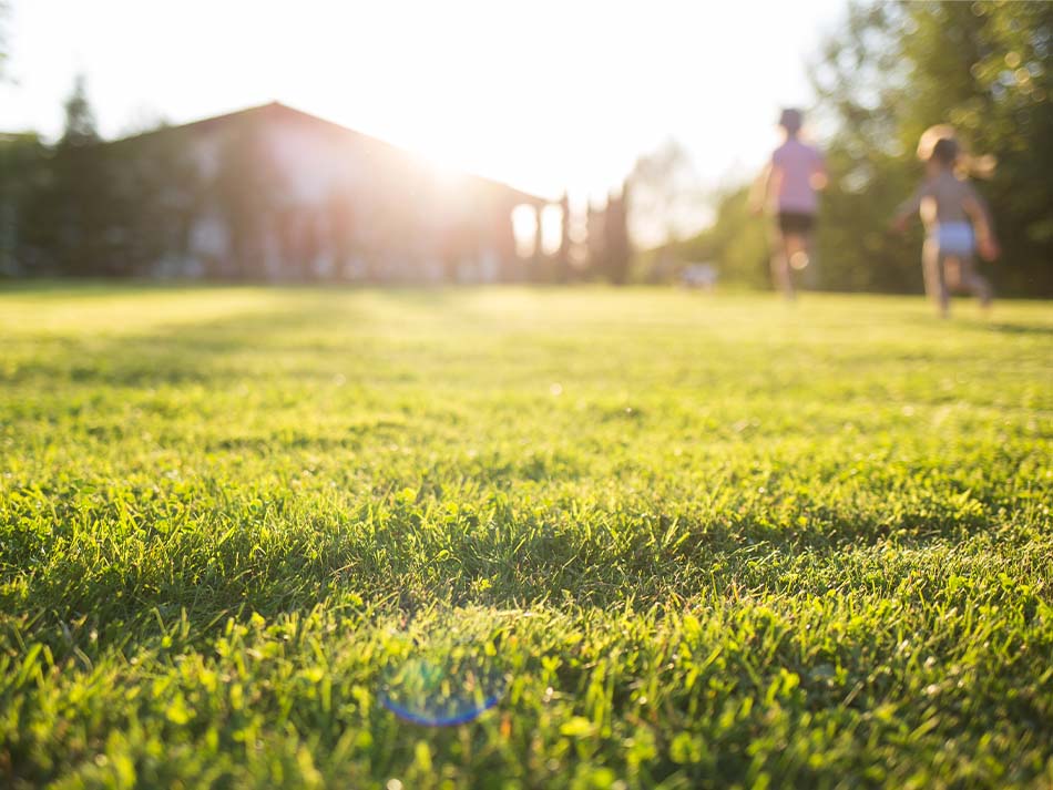 Summer Lawn Care: Keeping Your Lawn Green and Healthy