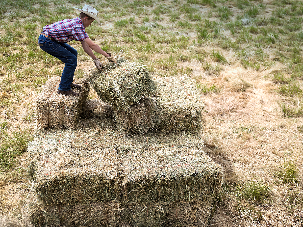 Coastal 101: Stacking Hay with Isaiah