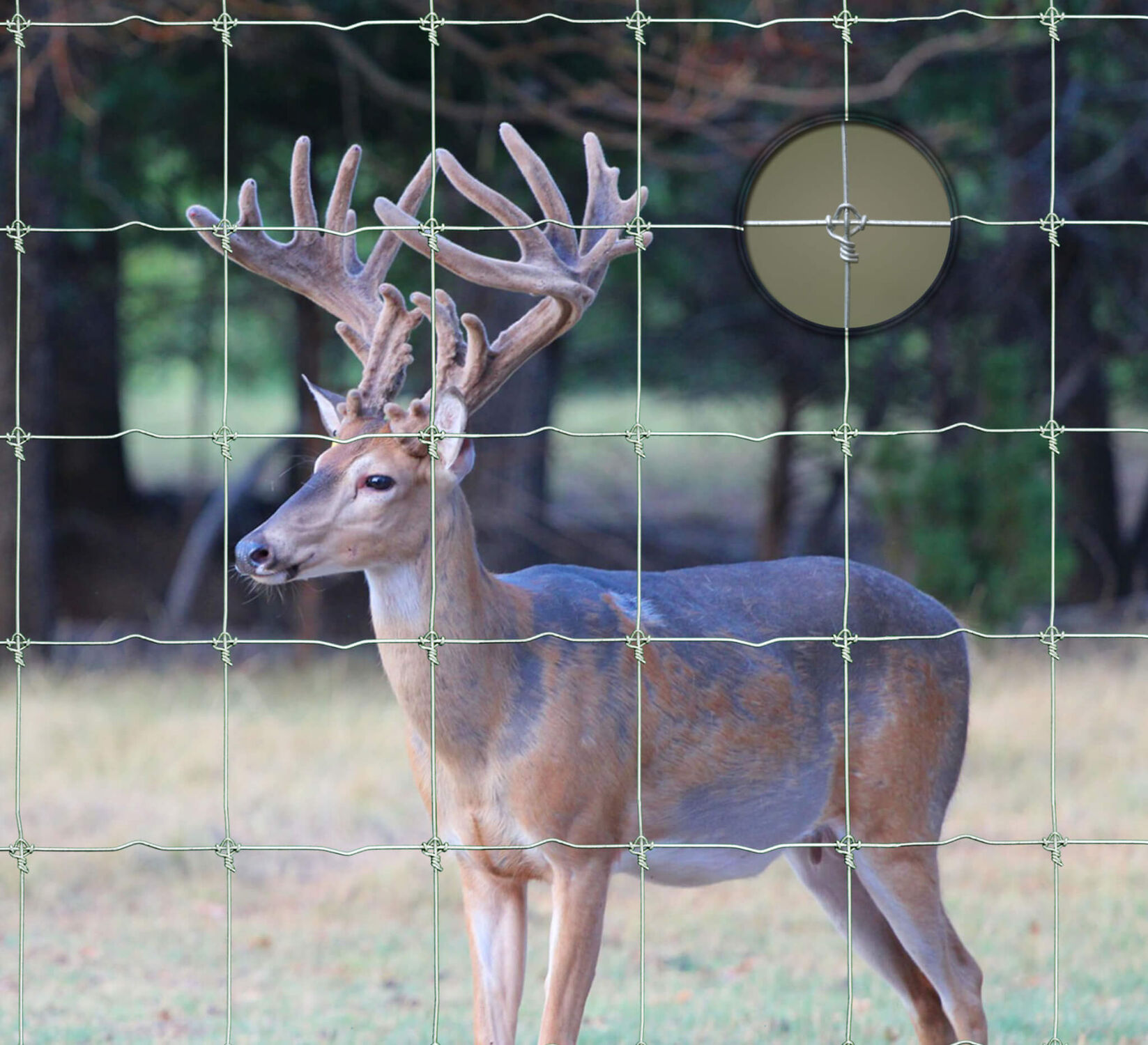 Max Loc 2096-6-12.5 Class 3 High Tensile Game Fence