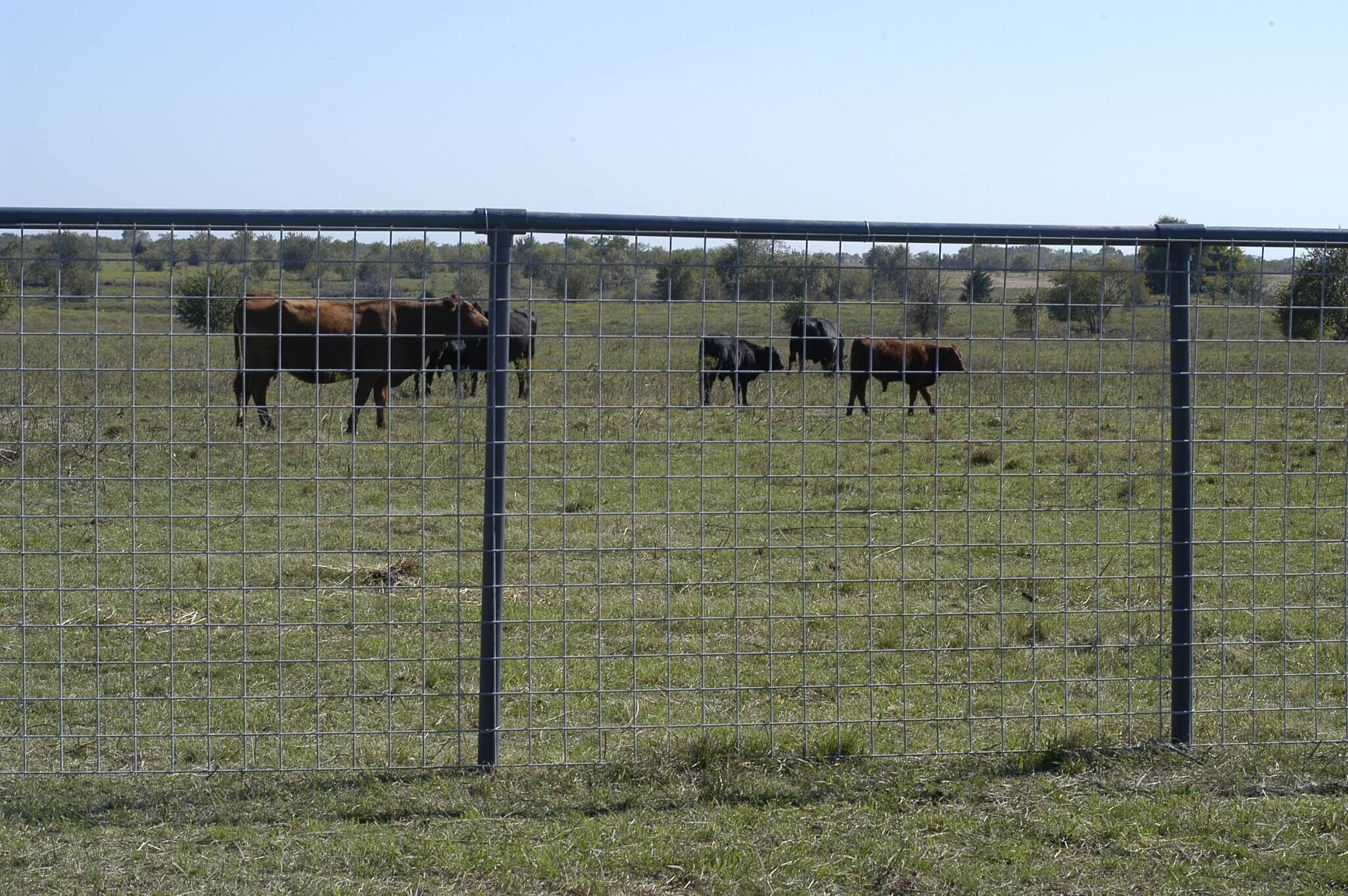 Max Tight 1472-6-12.5 Class 1 Field Fence