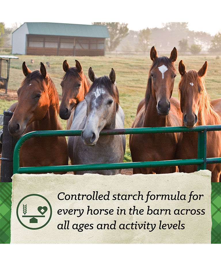 SafeChoice All Life Stages, 50-Lb