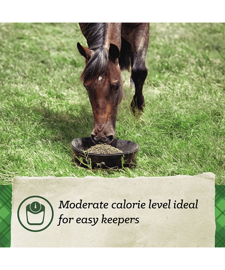 SafeChoice Maintenance, 50-Lb