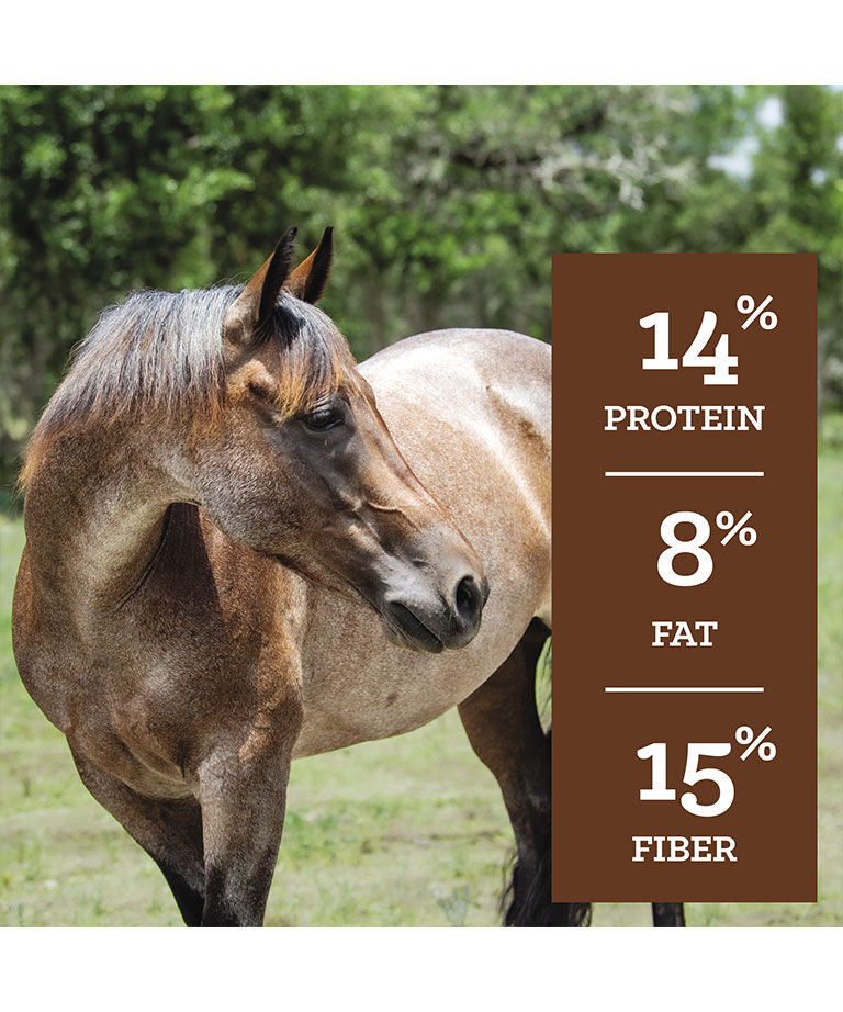 SafeChoice All Life Stages, 50-Lb