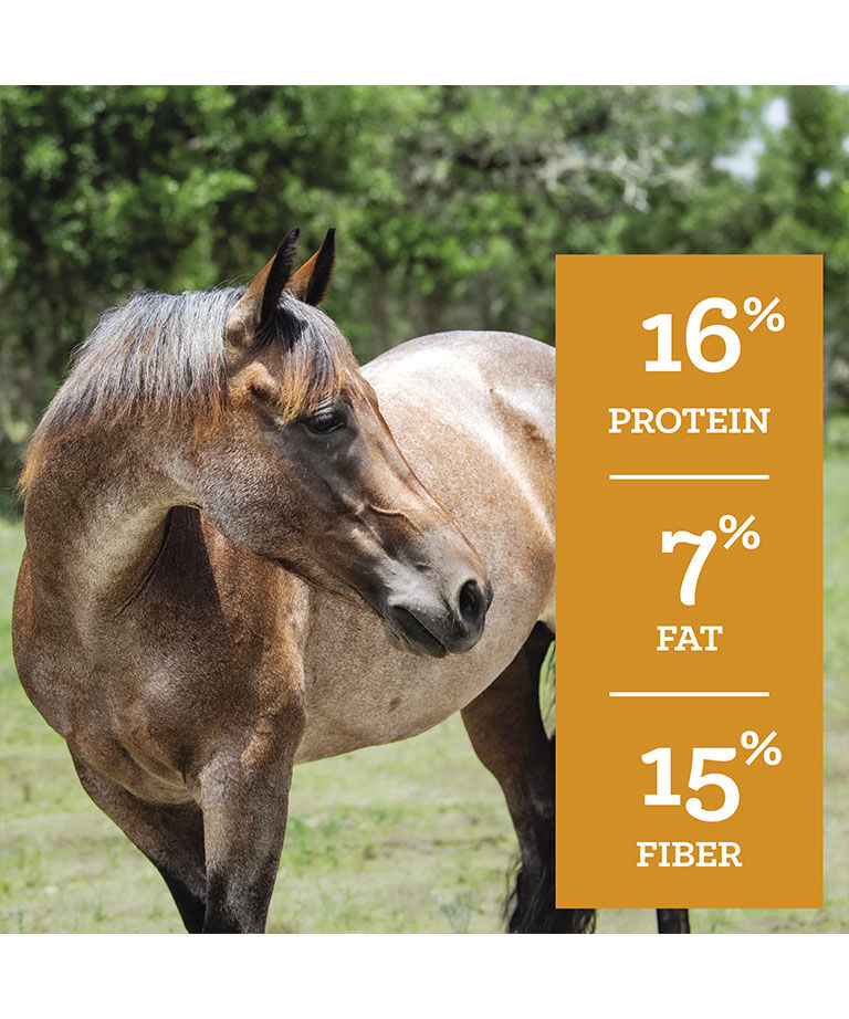 SafeChoice Mare & Foal Pellet, 50-Lb