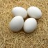 Ceramic Chicken Nesting Egg in White
