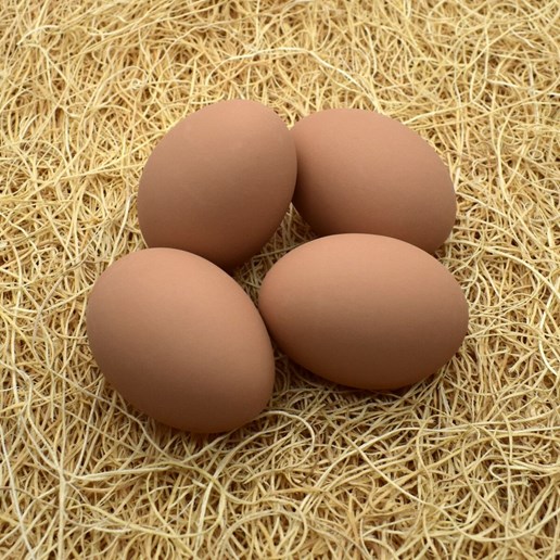 Ceramic Chicken Nesting Egg in Brown